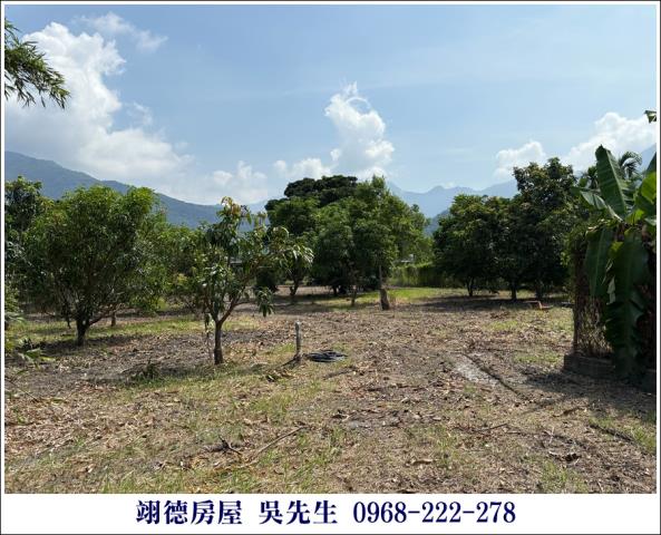 屏東高樹農地-10