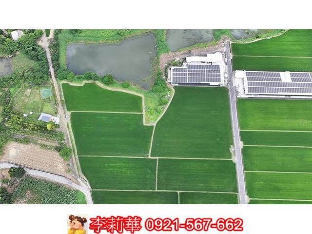 台南農地-6