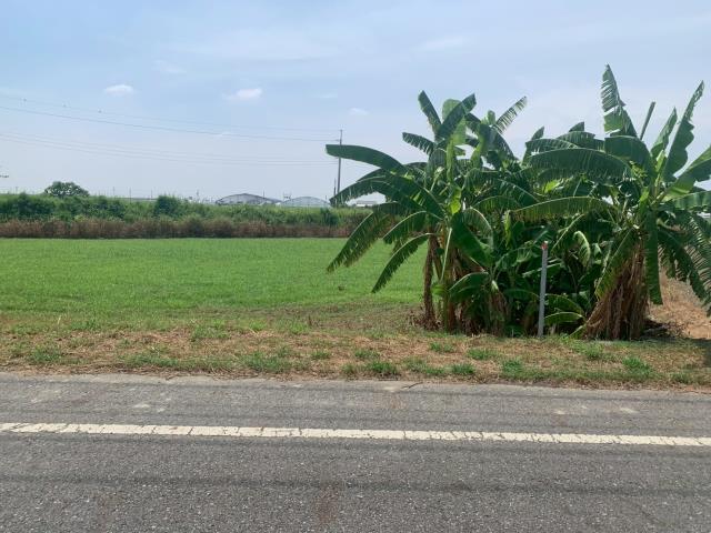 嘉義農地-3