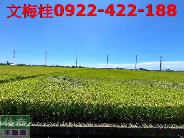 宜蘭縣壯圍鄉壯志段農地出售