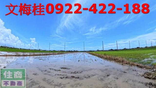 宜蘭壯圍農地-4