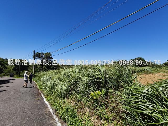 新北石門農地-11