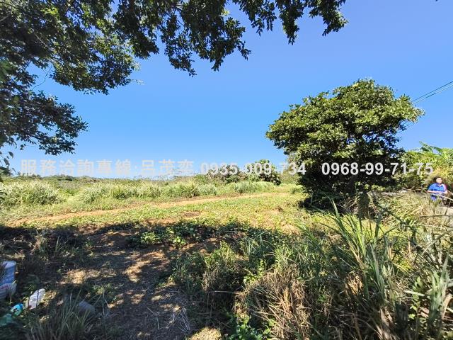 新北石門農地-8