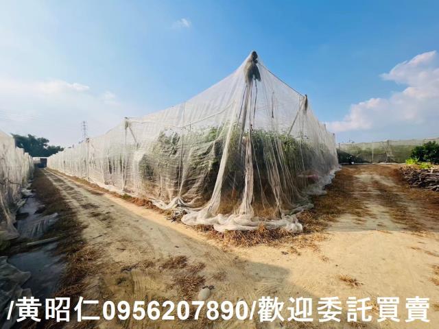 台南玉井農地-9