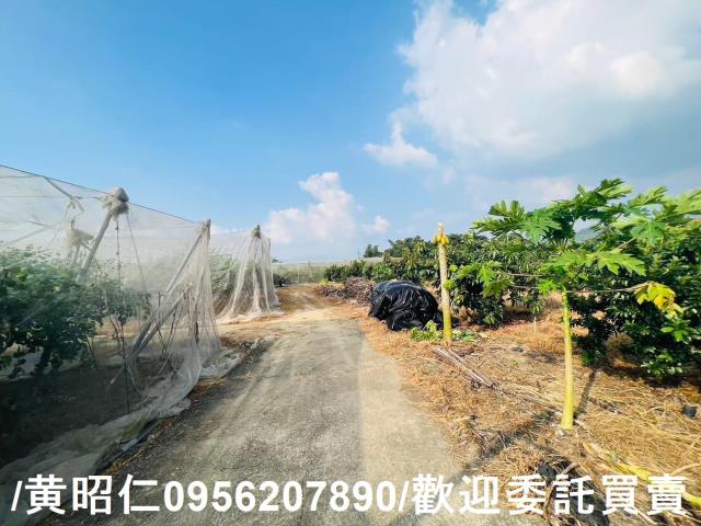 台南玉井農地-11