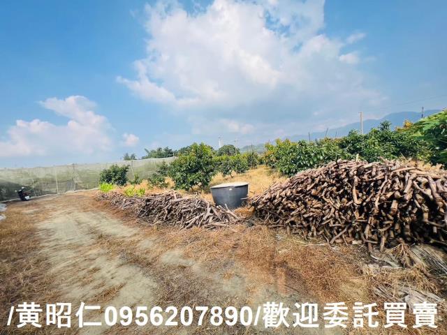 台南玉井農地-3