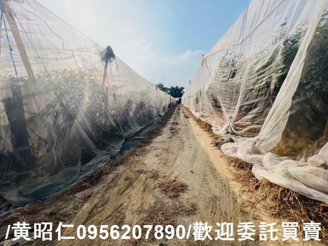 台南玉井農地-4