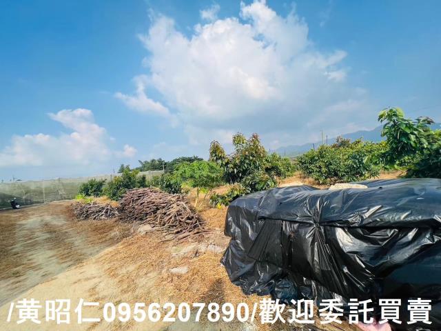 台南玉井農地-6