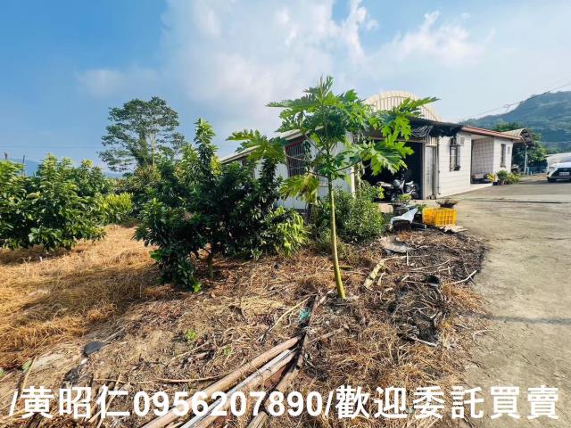 台南玉井農地-7