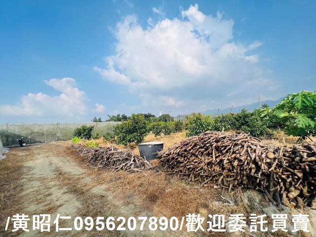 台南玉井農地-8