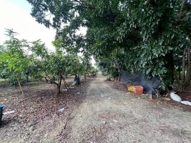 台南玉井農地-12