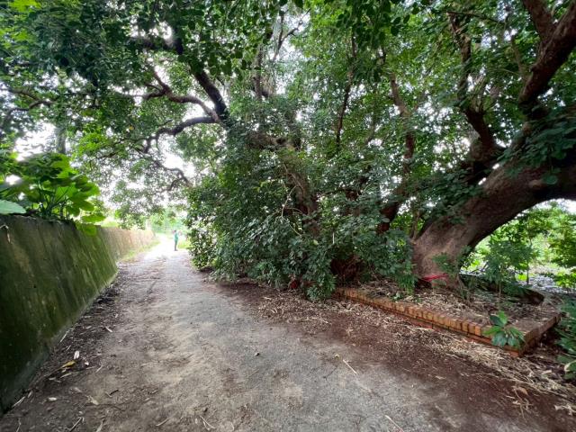 台南玉井農地-8