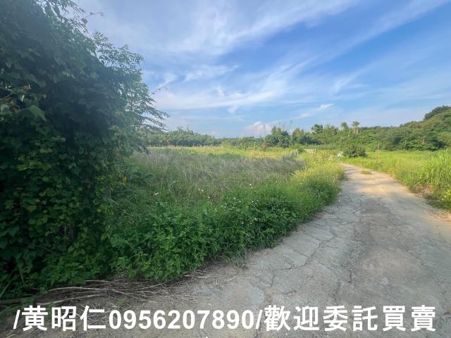 台南歸仁農地-8