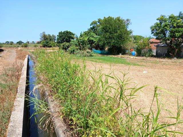 桃園大園農地-1