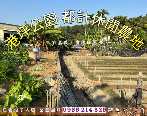 嘉義西區農地-0