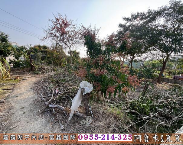 嘉義西區農地-2