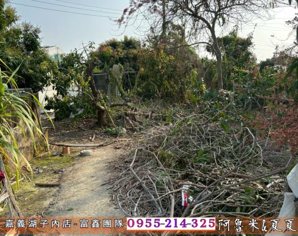 嘉義西區農地-4