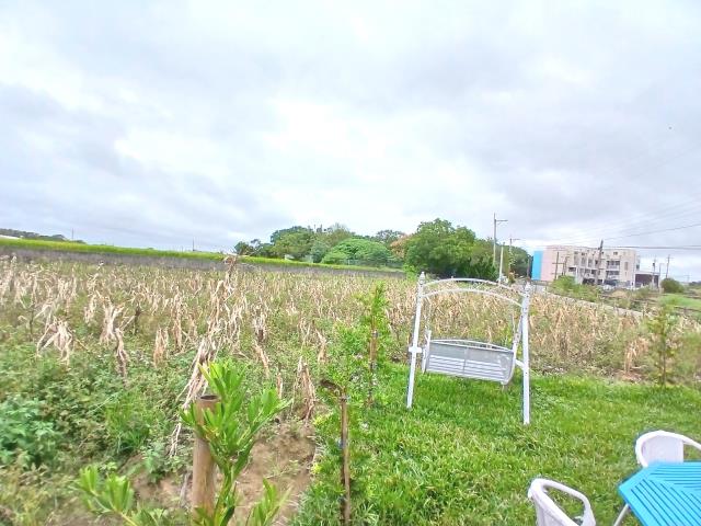 新竹新豐農地-3