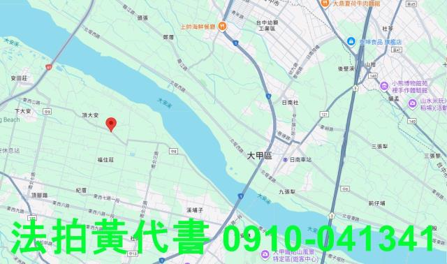 大安區農地法拍-13