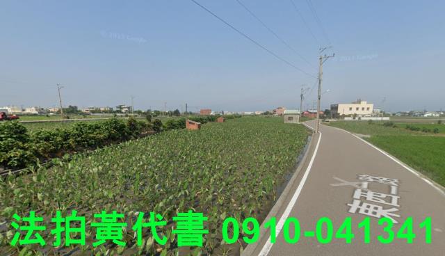 大安區農地法拍-0