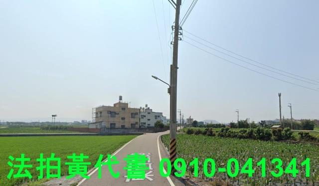 大安區農地法拍-1