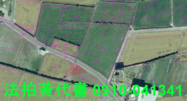 大安區農地法拍-4