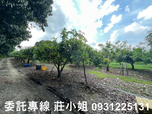 台南農地-8