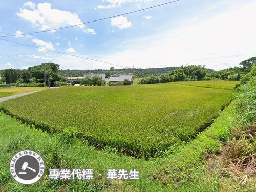 桃園楊梅農地拍賣-2