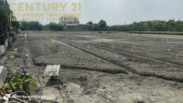 彰化田尾農地-6