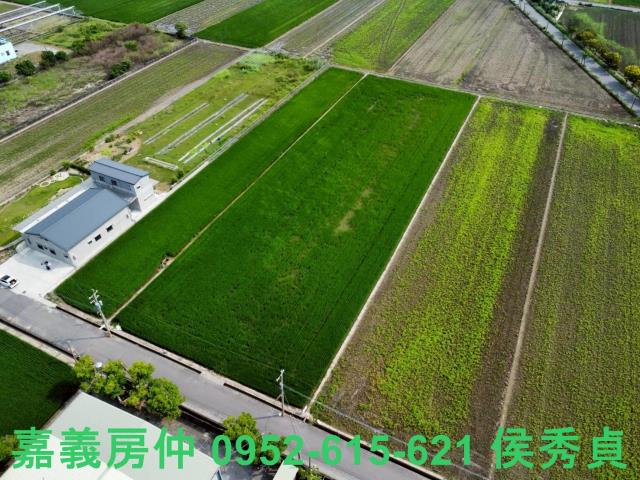 嘉義新港農地-5
