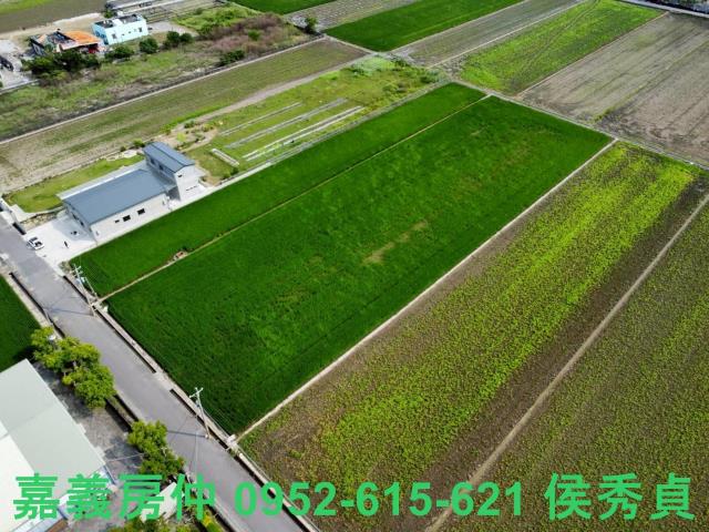 嘉義新港農地-6