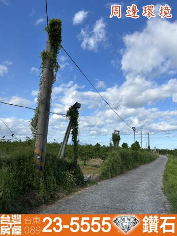 台東市農地-7