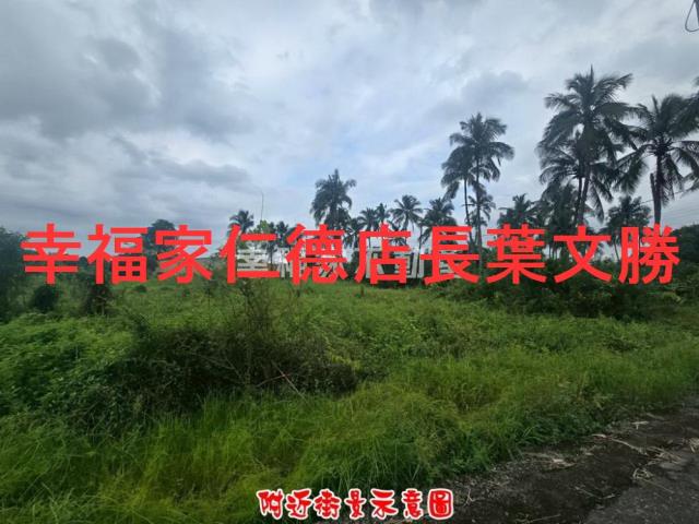 歸仁農地-9