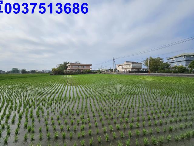 宜蘭農地-14