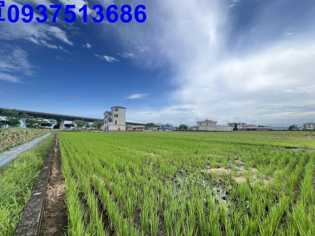 宜蘭農地-0