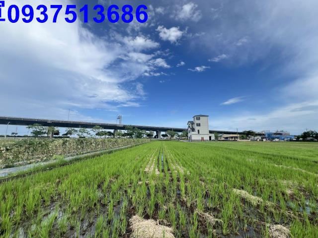 宜蘭農地-2