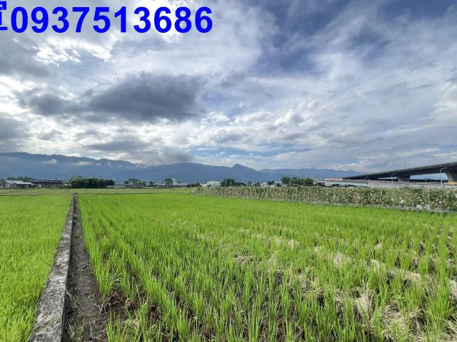 宜蘭農地-8