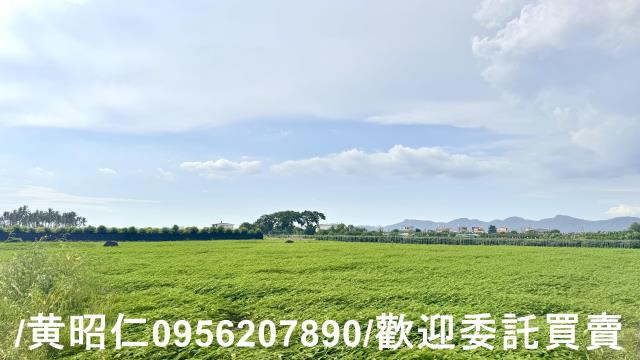 高雄農地-1