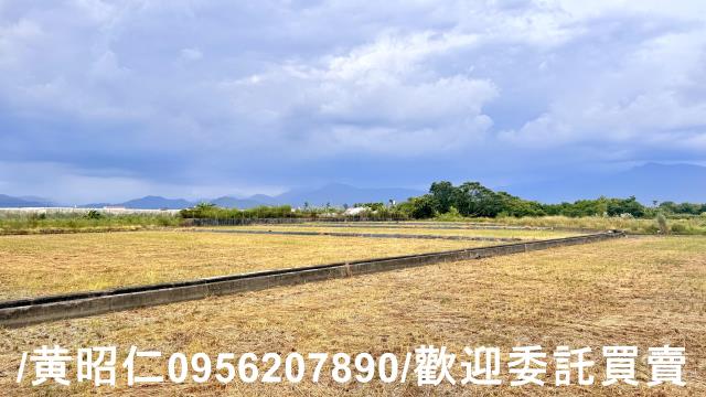 高雄農地-3