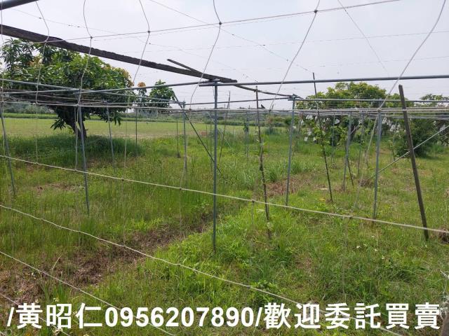 台南七股農地-10