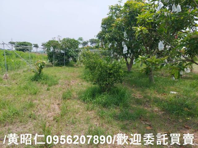 台南七股農地-13