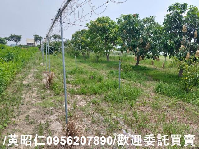 台南七股農地-5