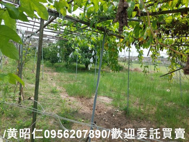 台南七股農地-6