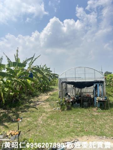 台南將軍農地-11