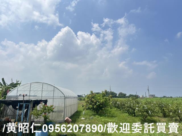 台南將軍農地-3