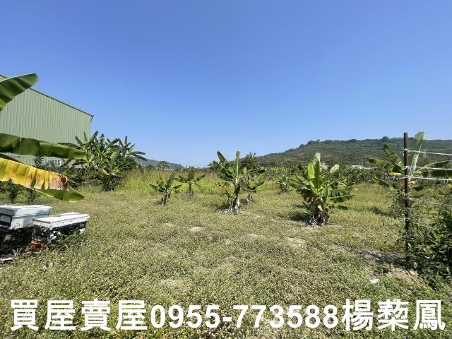 高雄岡山農地-9