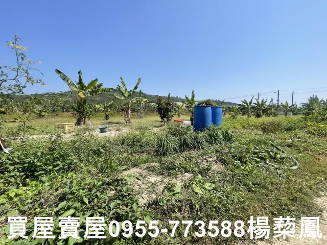 高雄岡山農地-11