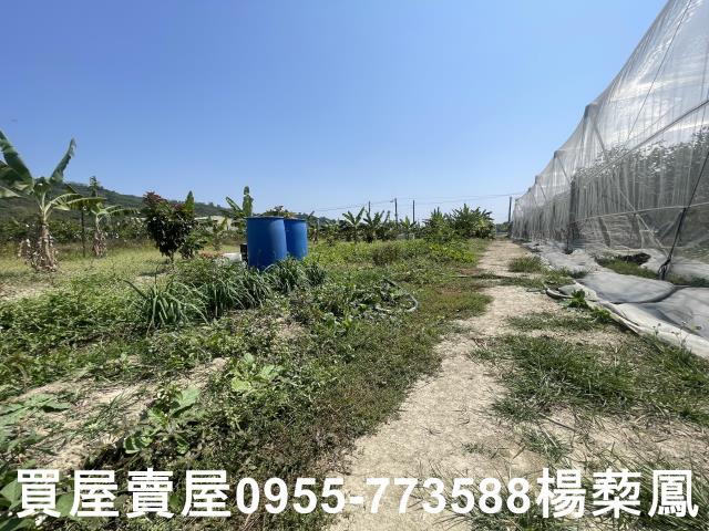 高雄岡山農地-12