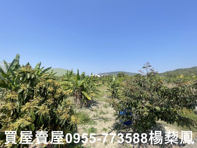 高雄岡山農地-14