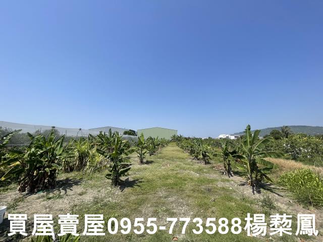 高雄岡山農地-2